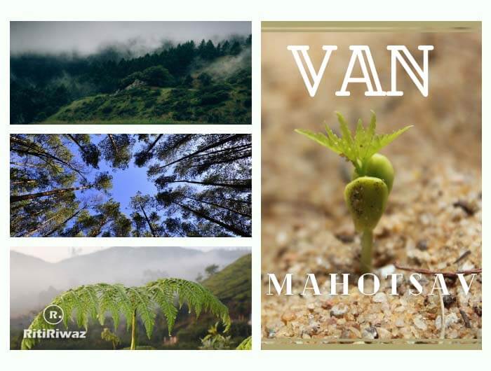 The Green Resurrection: Van Mahotsav and the Architecture of Living Infrastructure